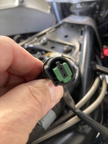 processed-30FCBB58-04B0-4DA7-9C0B-0DBABEBD8D74