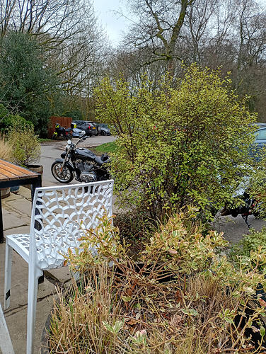 IMG_20260307_144809_HDR