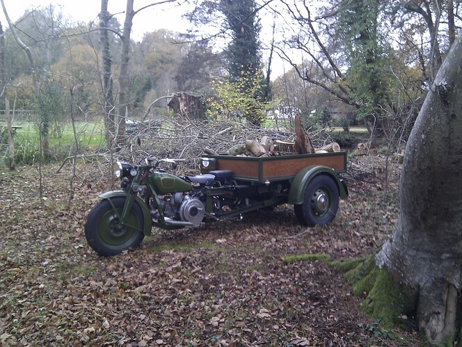 Collected logs from the woods.
